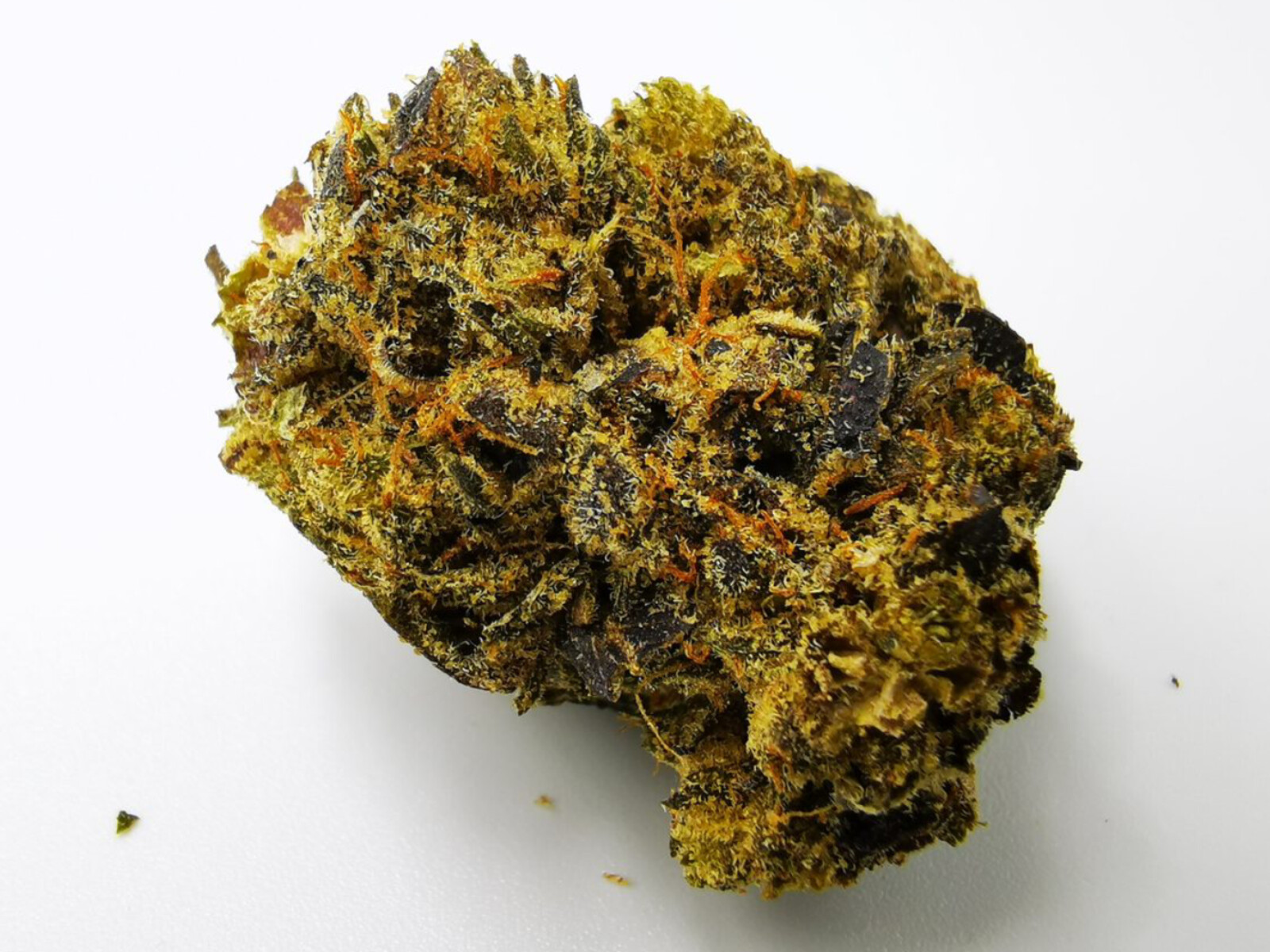 Pink Kush – Aurora