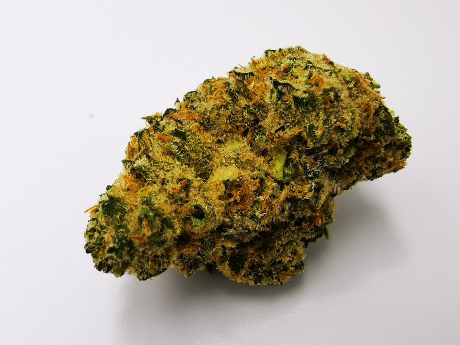 Snowtorious Krypton – Canopy Growth