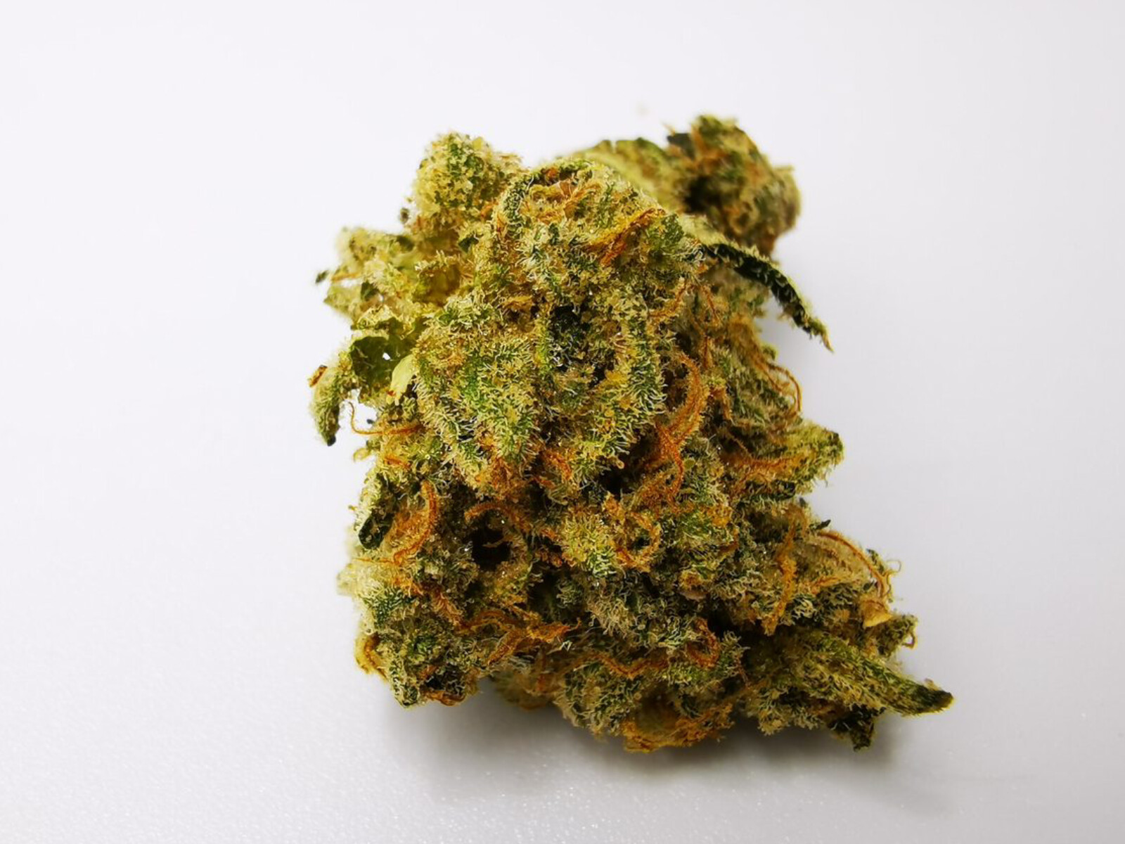 Frozen Lemon Mints – Four20 Pharma