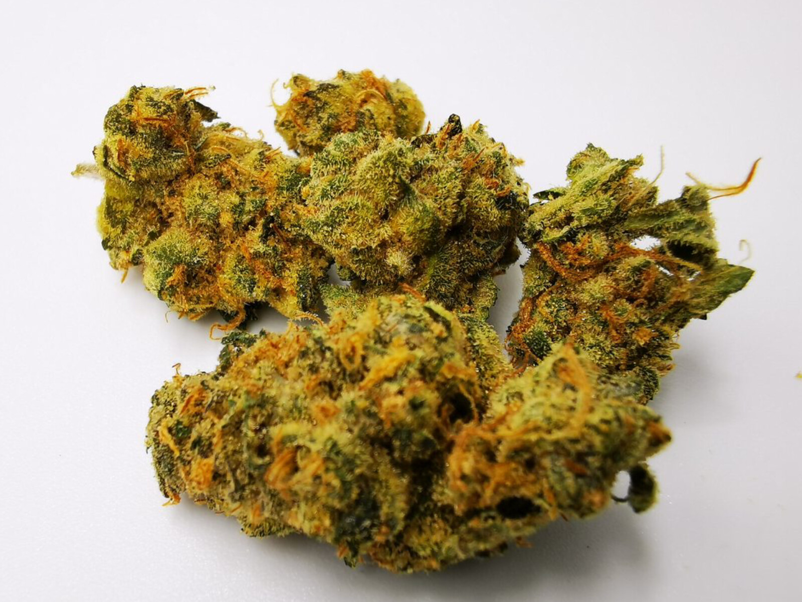 GMO Cookies – Four20 Pharma