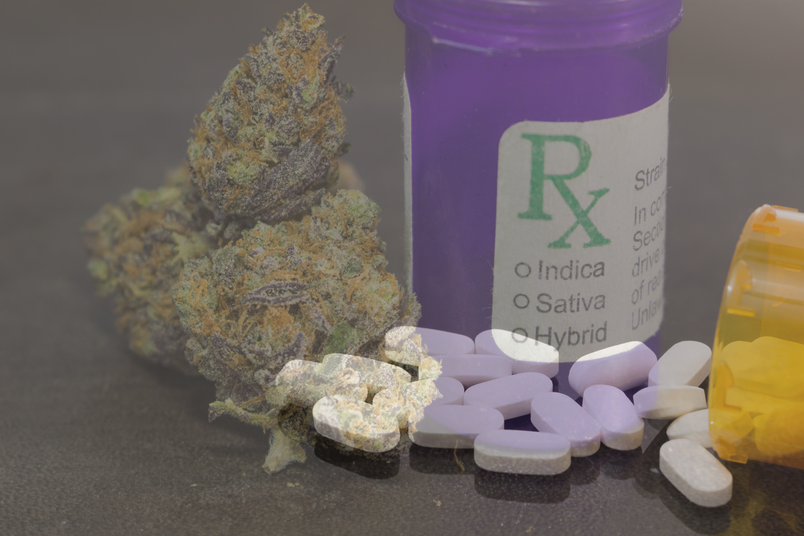 terapia uzależnień Białystok