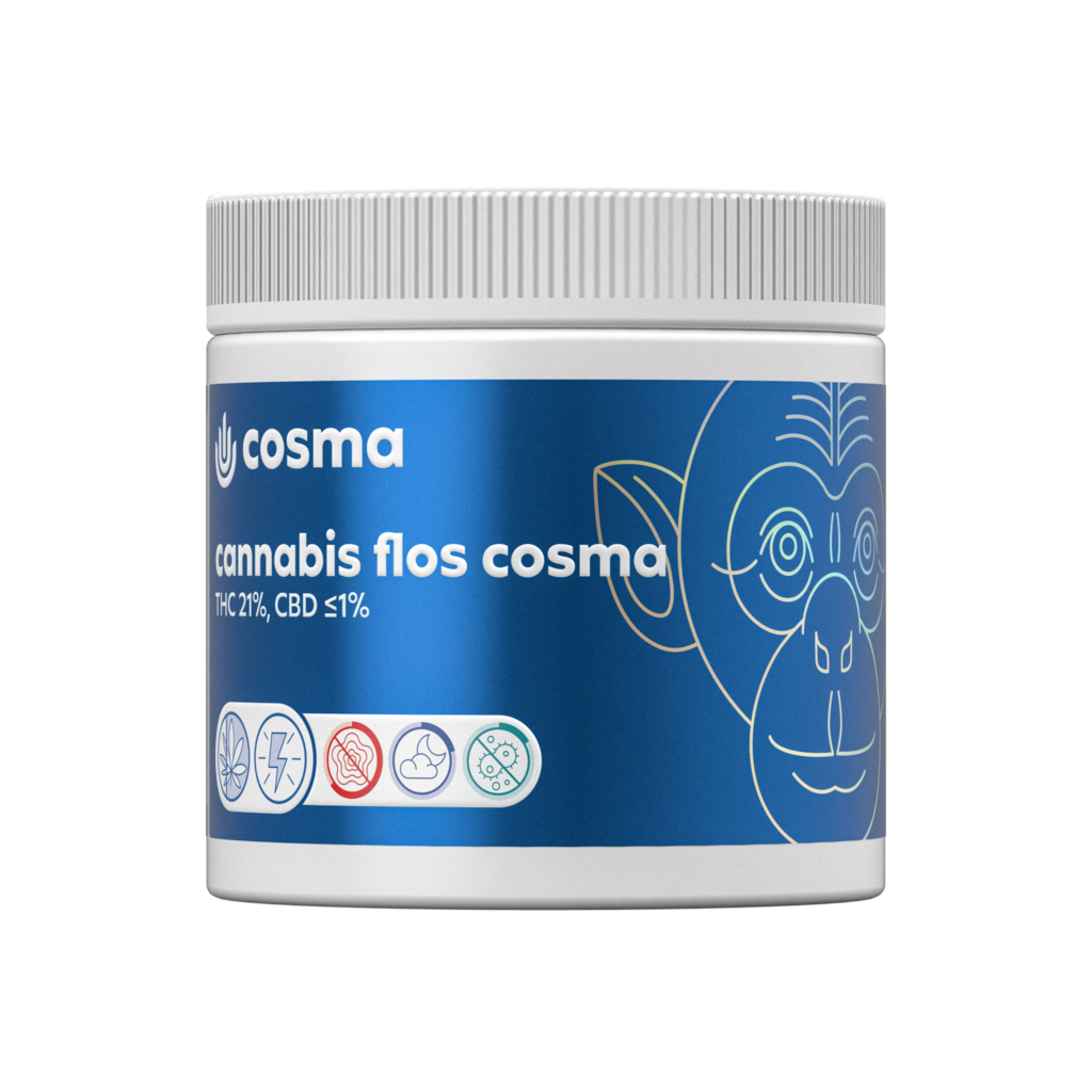 Blue monkey cosma