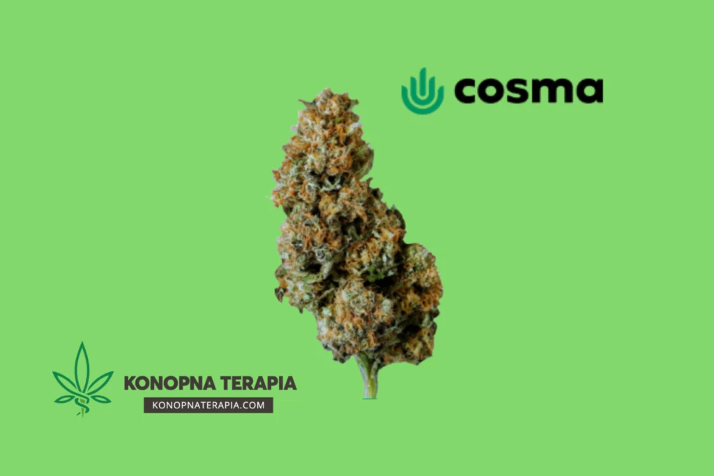 cosma medyczna