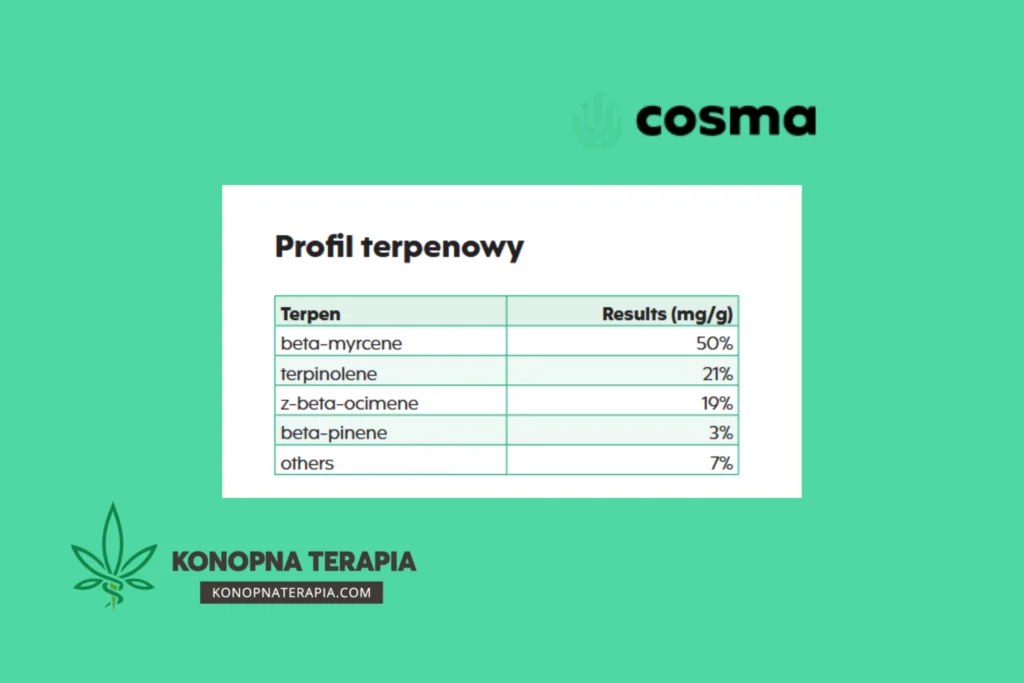 cosma 22
