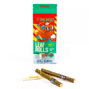 palmero leaf rolls